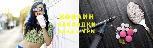 ешки Алексин