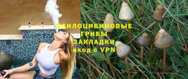ешки Алексин