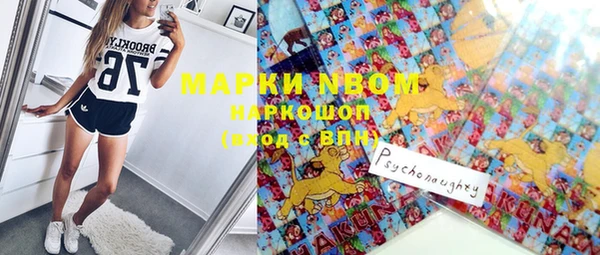 ешки Алексин