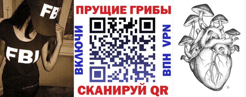 Купить  Славск  Галлюциногенные грибы Psilocybe 